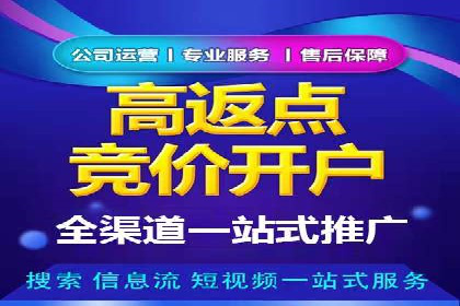 SEM推广案例：提升网站转化率策略解析
